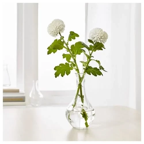 SUMUHOME PADVILJE CAM VAZO SAYDAM 2'Lİ 17CM - 9