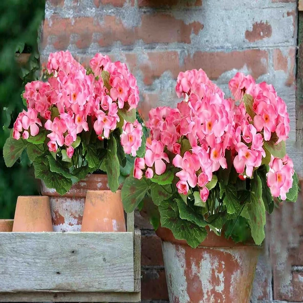 Nettenevime Yapay Çiçek Sardunya Demeti 40*25cm 1.Kalite PEMBE Balkon Çiçeği - Resim 6