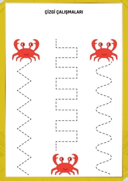 Okul Öncesi Süper Çizgi Çalışmaları Seti (YAZ-SİL Çizgi Çalışmaları Kitabı Hediye) - 2