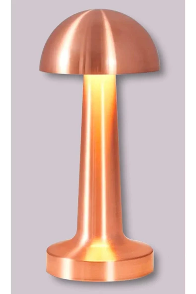 Ithink Dekoratif Led Masa Lambası LS-650 - Resim 2