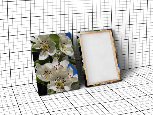 Muhteşem Manzara Kanvas Tablo - 3