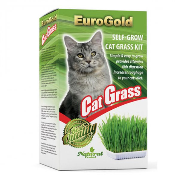 EuroGold Kedi Çimi