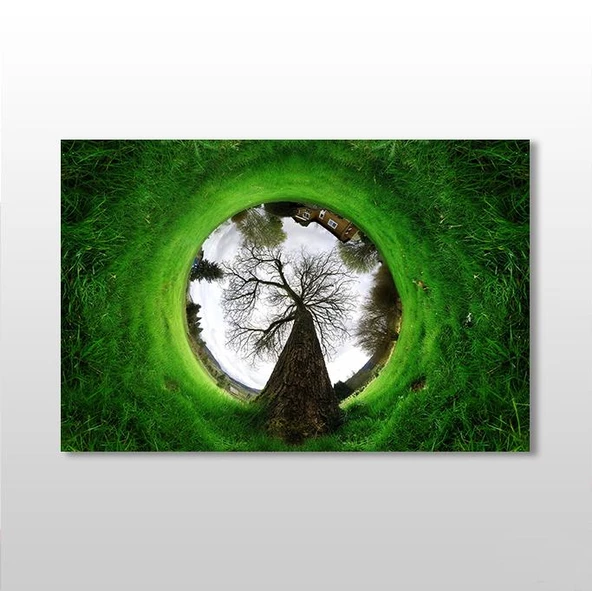 Küre Çimenlik Kanvas Tablo ürün görseli 1