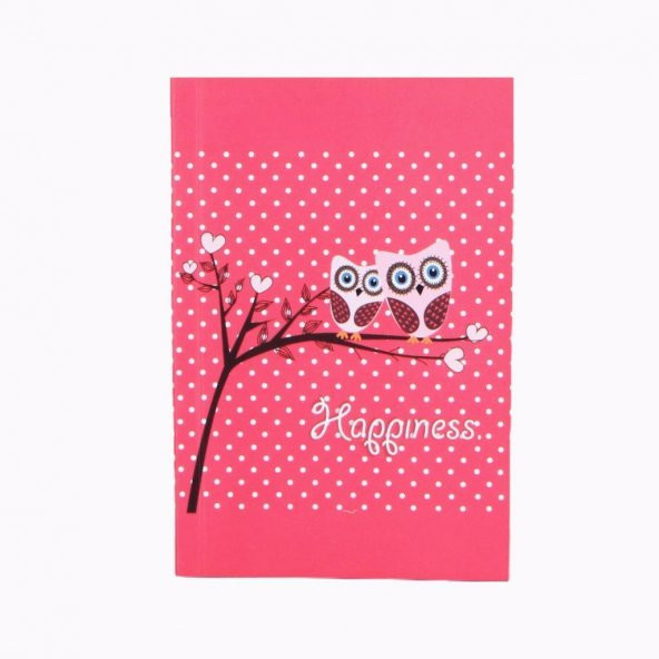 Toptan Defter 50 Adet Baykuş Renkli Sayfa - 2