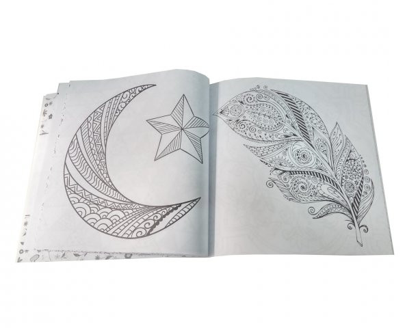 Hayallerini Boya - Büyüklere Boyama Kitabı - Resim 2