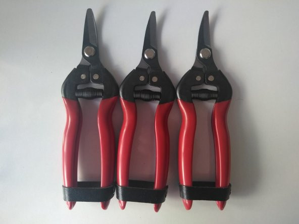 DOMATES HASAT  MAKASI - Resim 3