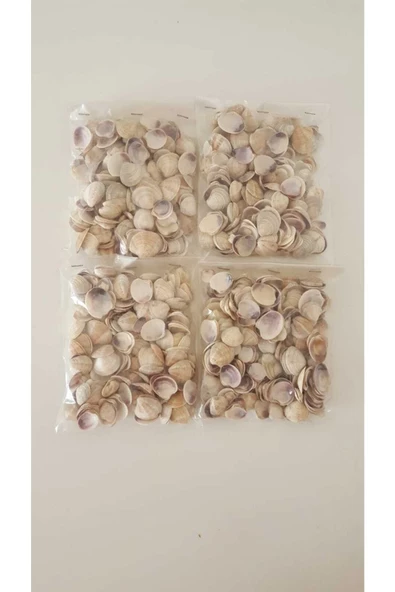 Kuzeylina Küçük Deniz Kabuğu Süs Dekoratif Akvaryum Süsleme 100 Gr - 2