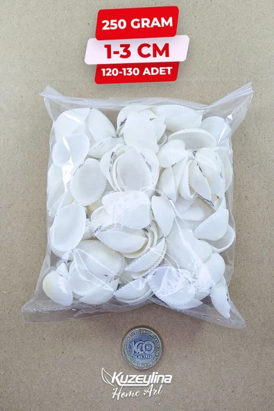 Kuzeylina Doğal Deniz Kabuğu 250 Gram 1-3 Cm - 2