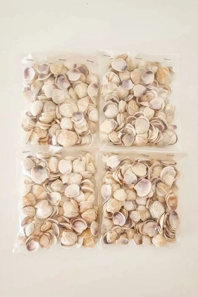 Kuzeylina Küçük Deniz Kabuğu (100 gr) - Süs - Dekoratif - Hobi - Akvaryum Süsleme - 2
