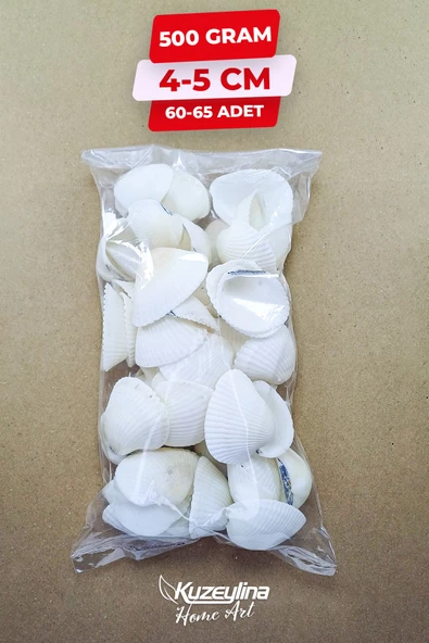 Kuzeylina Doğal Deniz Kabuğu 500 Gram Büyük Boy 4-5 cm - 2