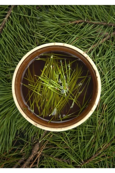 Kuzeylina Doğal Yaş Çam Yaprağı Çay Çam Iğnesi Çayı 150 Gr - 3