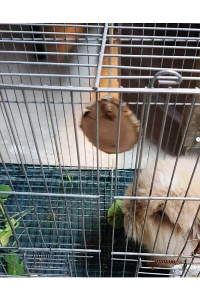 Kuzeylina Hamster - Tavşan Kemirme Oyuncağı - 2