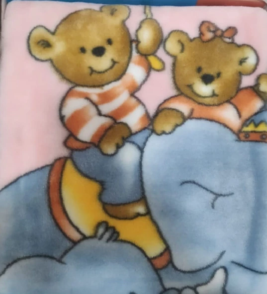 Dinarsu  Vizon Bebek Battaniyesi 100 X 120 Cm - 4