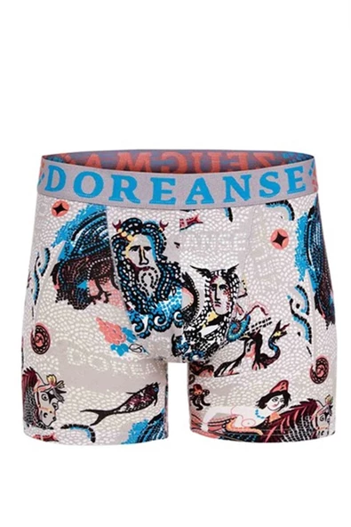 Doreanse Erkek Modal Baskılı  Boxer 1806