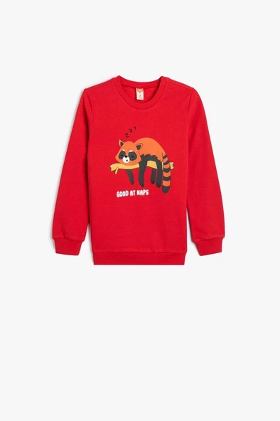 Koton Erkek Bebek Sweatshirt Hayvan Baskılı Bisiklet Yaka Pamuklu