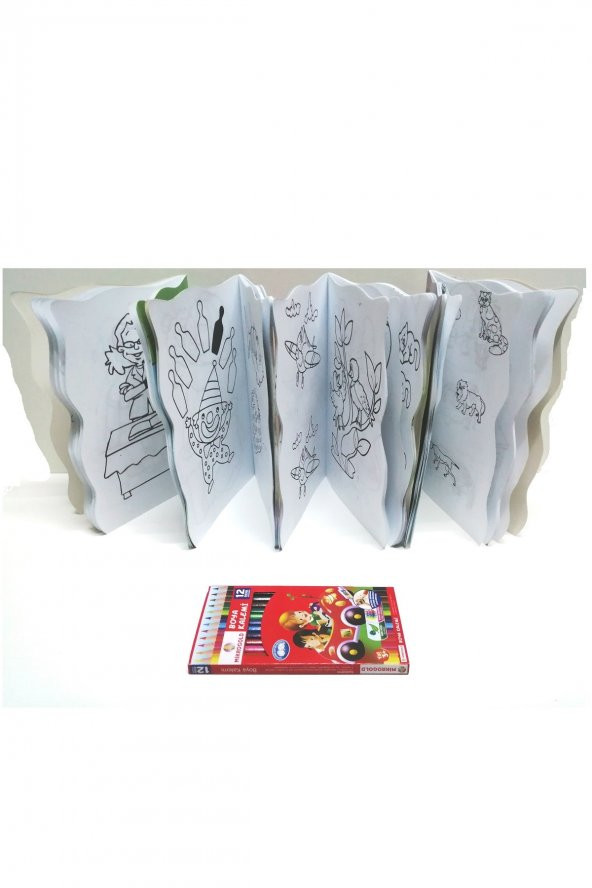 Boyama Seti 4 kitap ve 12 Renk Boyama kalemi - 2