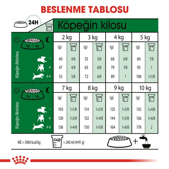 Royal Canin Mini Adult Ufak Irk Yetişkin Köpek Maması 2 Kg - Resim 4