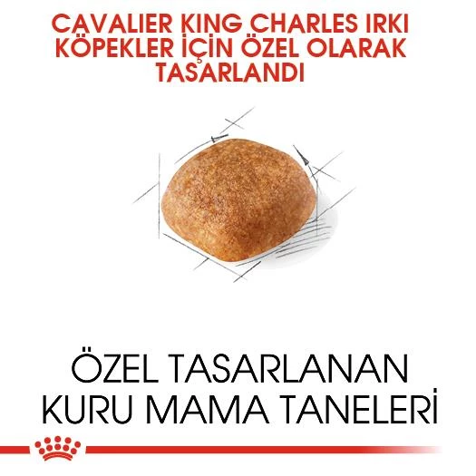 Royal Canin Cavalier King Charles Yetişkin Köpek Maması 3 Kg - Resim 4