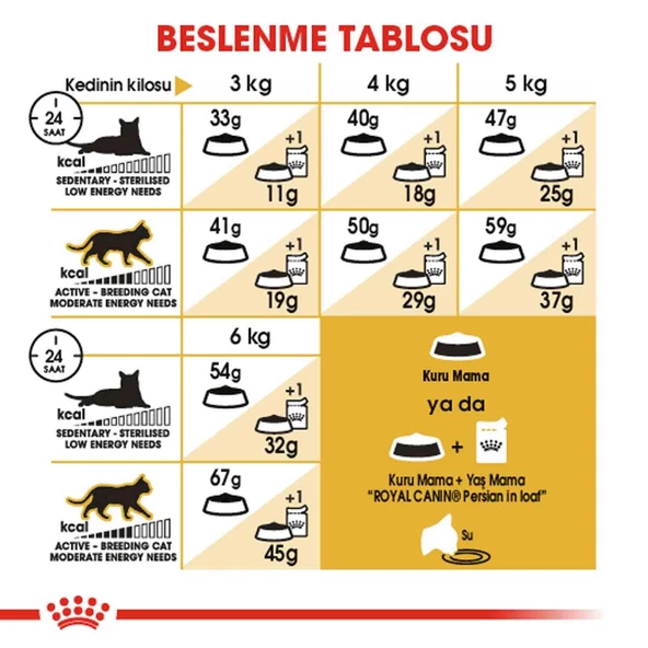 Royal Canin Persian 30 Iran Kedilerine Özel Yetişkin Kedi Mamasi 10 Kg - Resim 4