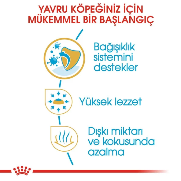 Royal Canin Chihuahua Puppy Yavru Köpek Maması 1,5 Kg - Resim 2