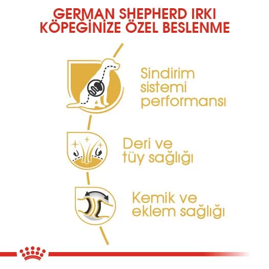 Royal Canin German Shepherd Adult Alman Kurduna Özel Yetişkin Köpek Mamasi 11 Kg - Resim 3