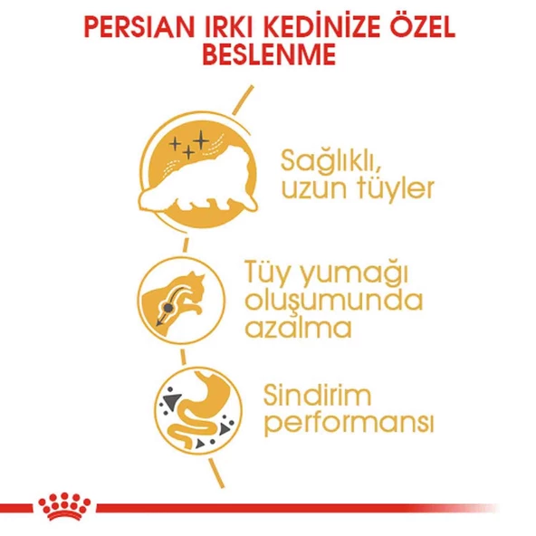Royal Canin Persian 30 Iran Kedilerine Özel Yetişkin Kedi Mamasi 10 Kg - Resim 3