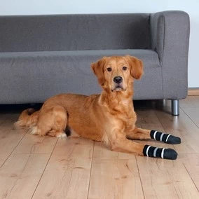 Trixie Köpek Çorabı Kaymaz L-XL 2 Adet - Resim 2