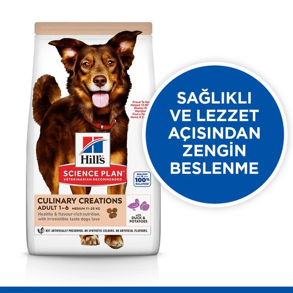 Hill's SCIENCE PLAN Gurme Lezzet Yetişkin Orta Irk Ördek ve Patatesli Köpek Maması 14 kg - Resim 5