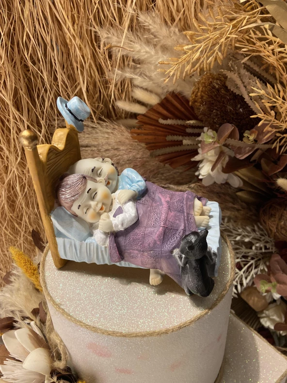 Yatakta Uyuyan  Sevimli Yaşlı Çift ve Kedisi Biblo - Resim 4