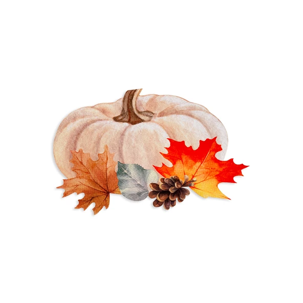 Schafer Home Pumpkin Supla 1 Parça-Turuncu - 2