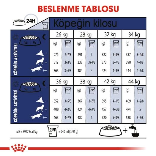 Royal Canin Maxi Adult Büyük Irk Yetişkin Köpek Maması 15 Kg - Resim 3