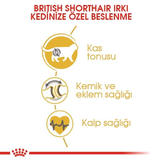 Royal Canin British Shorthair İçin Özel Yetişkin Kedi Maması 2 Kg - 5