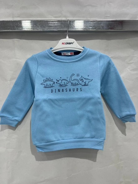 uğurböceğiçocuk Dinazor Baskılı 3 İp Erkek Sweat 12058