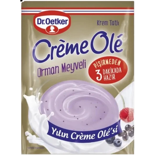 Dr. Oetker Creme Orman Meyveli 110 G