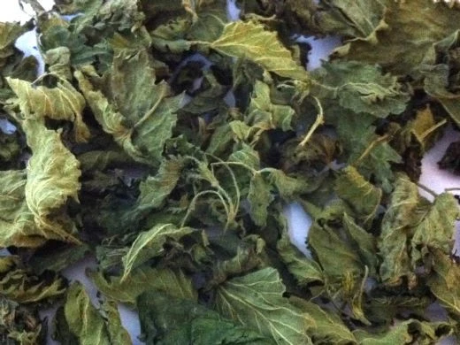 Isırgan Otu 1 Kg Organi?k ( Doğal Kurutulmuş, Elenmiş, Katkısız )