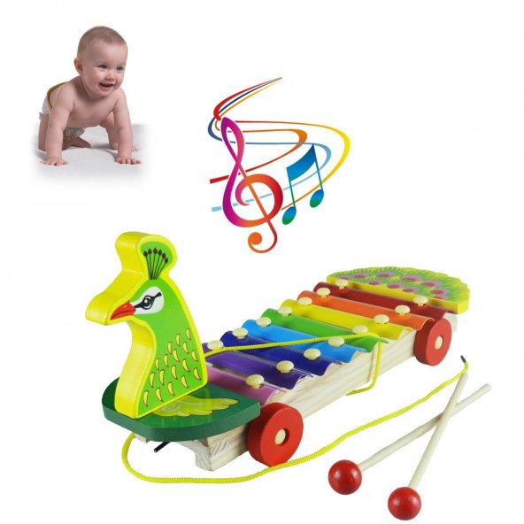 Ahşap 8 Nota Ksilofon Tavuzkuşlu Selefon Müzik Aleti Oyuncak