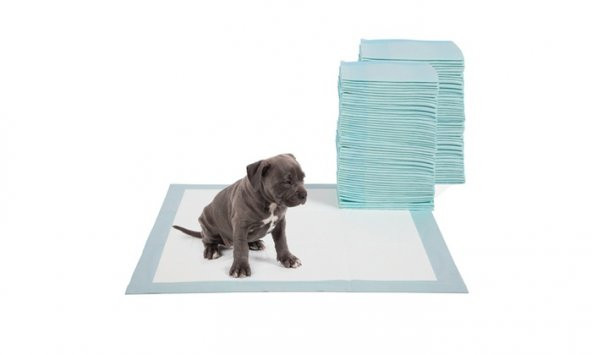Evcil Hayvan Köpek Çiş Alıştırma Pedi Pedi Paws 30 Adet
