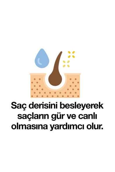 Deep Fresh Herbal Bitkisel Şampuan Argan Yağı Özlü Yıpranmış Saçlar 3 X 500 Ml - 4