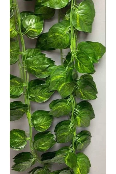 YASİMA Salon 12 Li Yapay Sarmaşık,yapay Çiçek,ev Dekorasyonu,yılbaşı Süsü - 2