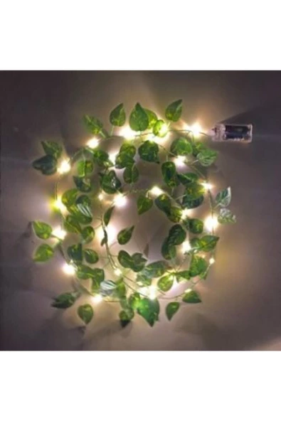 casadilegno Dekoratif Yeşil Yapraklı Yapay Sarmaşık Ve 3 Metre Peri Led Gün Işığı - 2