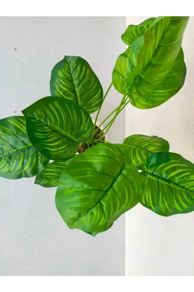 YASİMA Yapay Salon Çiçeği Difenbahya 12 Dallı 52 Cm -difenbahya