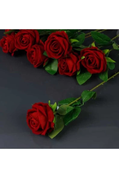 YASİMA 7 Adet 50 cm1. Klaite  Kırmızı Kadife Gül - Resim 2