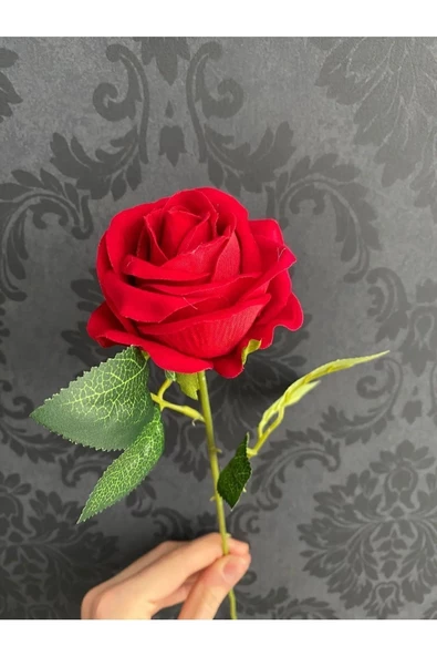 YASİMA 7 Adet 50 cm1. Klaite  Kırmızı Kadife Gül - Resim 5