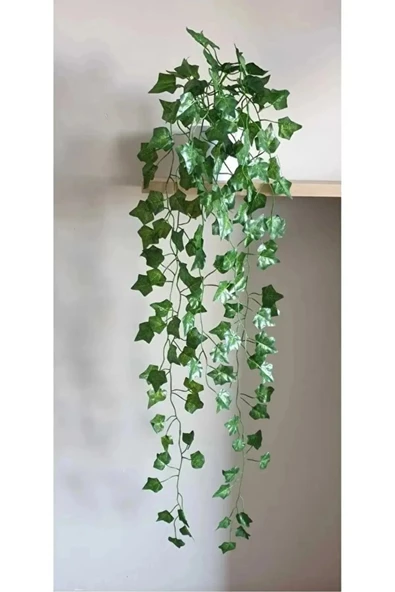 YASİMA 3 ADET 9 DAL HADERA SARKIT EV BANYO BALKON DUVAR SÜSÜ - 3