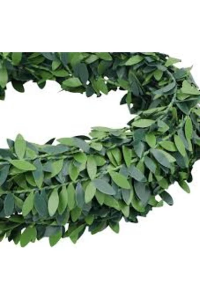 YASİMA Yasima 21 Metre Tel Sarmaşık Duvar Ve Ev Süsü Dekor Ürünü - 2