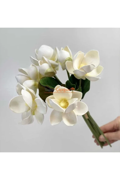 YASİMA 1 ADET 7 Lİ MANOLYA BUKETİ GELİN ÇİÇEĞİ SAKSI EV DEKOR