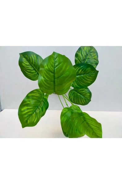 YASİMA Yapay Salon Çiçeği Difenbahya 12 Dallı 52 Cm -difenbahya - Resim 2