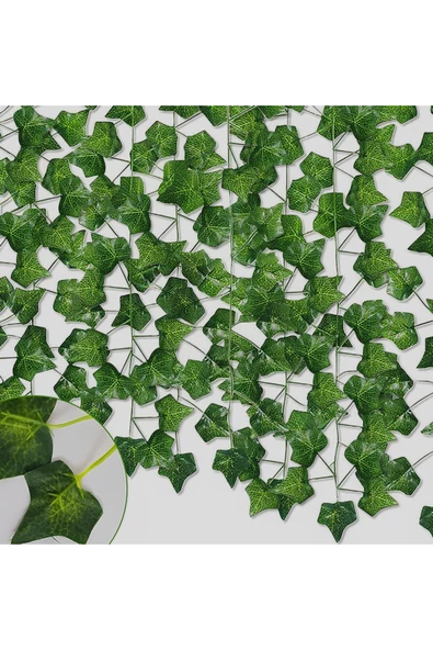 YASİMA 30 Paket 12li Hadera Sarmaşık A Kalite Ev Dekor Organizasyon dekorasyonu