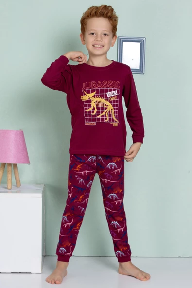 Erkek Çocuk Dinazor Desenli Uzun Kollu Pijama Takımı - 5