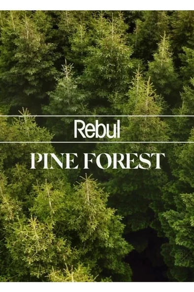 Rebul Kolonyalı Mendil Pine Forest 50 Adet - Resim 2